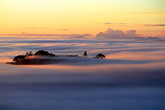 Fog over Auckland - mychillybin images