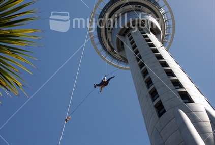 Young man jumping of AKLD's Skytower