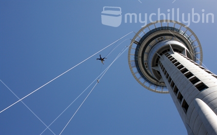 Young man doing the 'Skyjump' from AKLD's Skytower