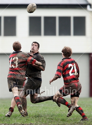 Keeping your eye on the ball; a rugby player catches a high ball during a club rugby game in Wellington.