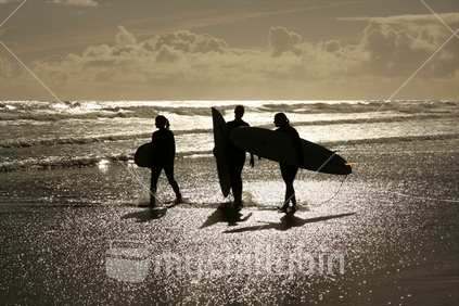 Evening silhouette; 3 female surfers walking along Muriwai beach, Waitakere, Auckland, New Zealand
