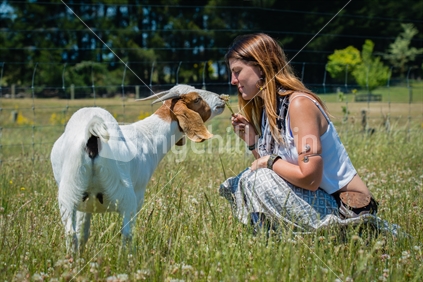 Young woman goat at farm park in Tasman District 