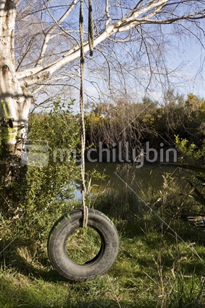 Rope and tyre swing