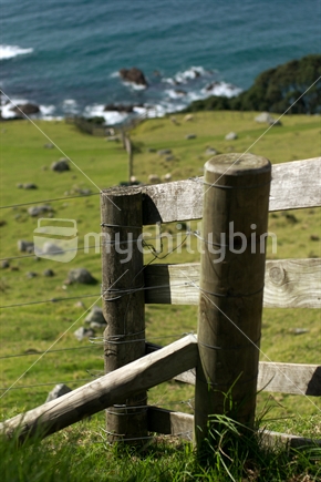 Fence post with pasture & ocean in the background
