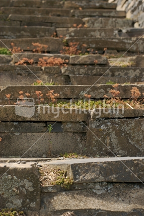 Steps in Halswell Quarry