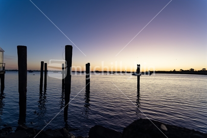 Old mooring posts in Tauranga harbour in pre-dawn light.