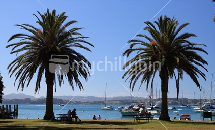 Palm trees at Kawau's jetty.  Boats moored just offshore near the end of a beautiful day..
