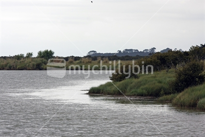 The Kaipara River at Helensville, New Zealand