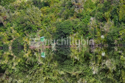 Whitebait stand reflected in the Mokau River, Taranaki 