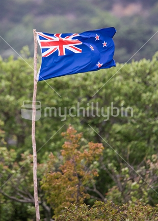 New Zealand flag waving on a stick flagpole