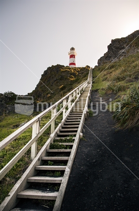Palliser Bay lighthouse and stairs
