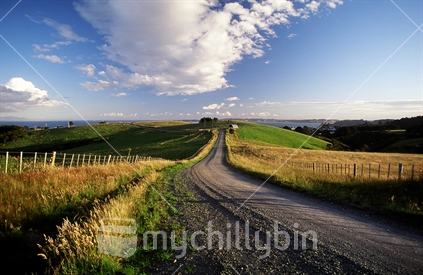 Country Road, Leigh, New Zealand