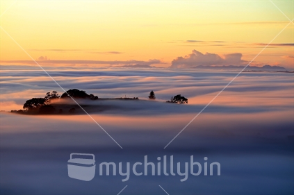 Warm air meets cold ground = Fog.  Dawn in Auckland Mt Hobson peaks above the fog droplets.