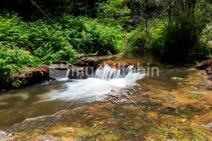 Kerosene Creek Natural Hot Water Swimming river,Rotorua