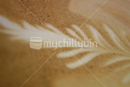 Cappuccino with fern decoration in the froth
