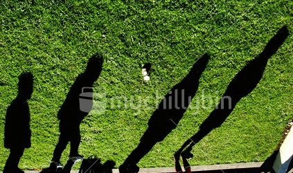 peoples shadows on grass