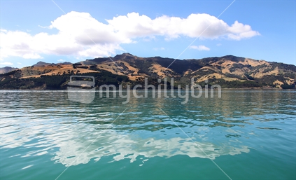 Landscape of Akaroa, Taken from a boat, New Zealand