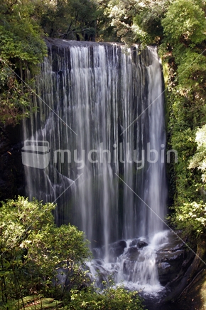 Waterfall at Waikaremonia, New Zealand
