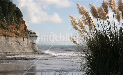 NZ coastline with Toi tois