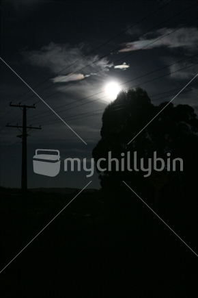 Powerline silhouetted against sky by moonlight