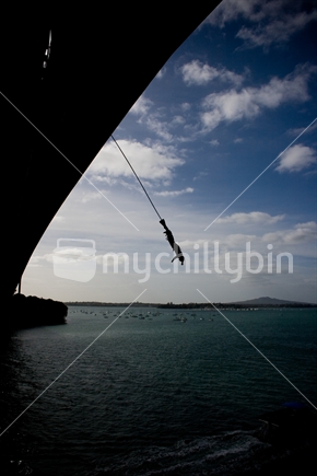 Bungy from Auckland harbour bridge