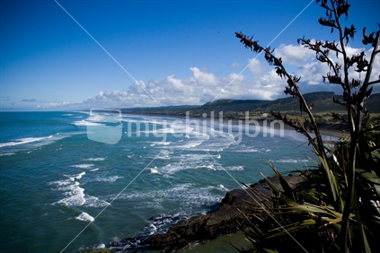 Coastal scene  with flax