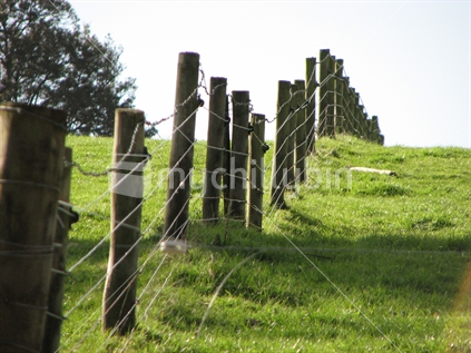 Farm fence fading into distance
