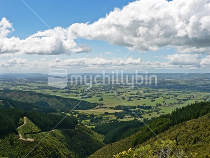 Looking northeast towards Masterton way in the distance (from the Mt Dick Lookout)