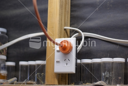A power cord in a kiwi bloke''s shed