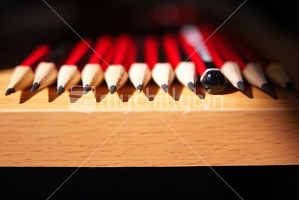 A line up of sharpened pencils