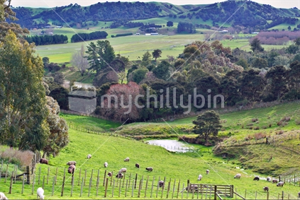 View into a Wairarapa valley near Gladstone, New Zealand
