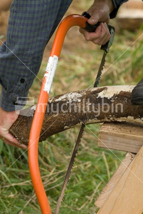 A man saws a log for firewood