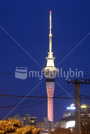 Auckland Sky Tower at night from Kingsland