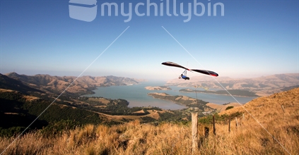 Paraglider taking off towards Lyttelton Harbour, New Zealand