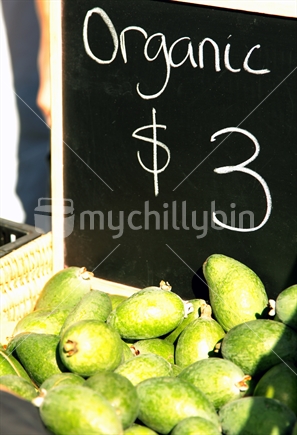Organic Feijoas - $3.00 per kilo