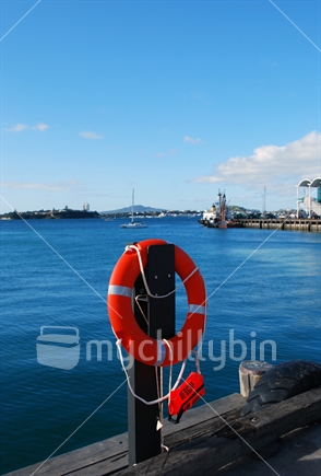 Life Buoy with throw rope.