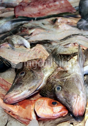 Fish heads, fish frames & carcasses at a fish market