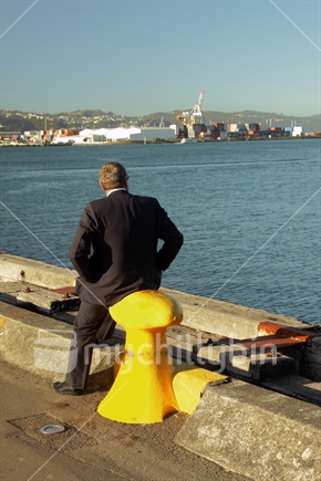 Business man resting on Wellington's waterfront