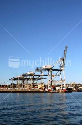 Cranes in Auckland's Waitemata Harbour