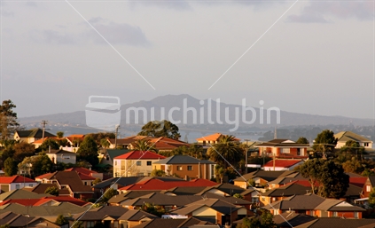 Residential Area and Rangitoto Island, Auckland, New Zealand