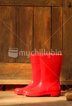Red gumboots waiting to go for a walk...