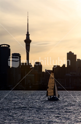 Sunset sailing in Waitemata Harbour, Auckland, New Zealand