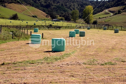 Shrinked-wrapped hay bales