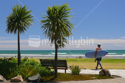Surfer walking toward beach with cabbage trees in foreground, in Ohope