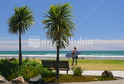 Surfer walking toward beach with cabbage trees and seat in foreground in Ohope