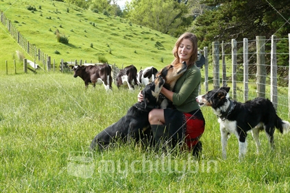 Young woman farmer, playing with sheep dogs with calves behind