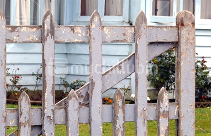 Old picket fence, peeling paint and blue villa, New Zealand