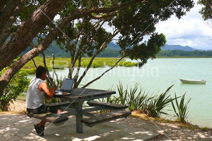 Man on holiday working under the shade of a Pohutukawa tree, New Zealand