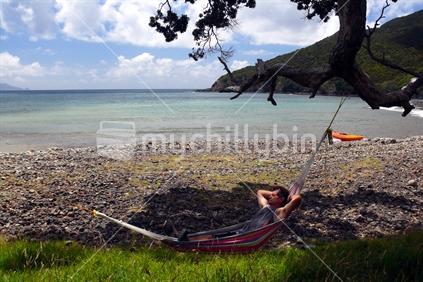 Man on holiday in a hammock, Stony Bay, The Coromandel Peninsular, New Zealand