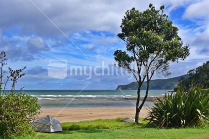 Pohutukawa tree and dinghy on a beautiful beach at Great Barrier Island, New Zealand